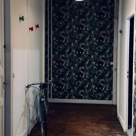 Maison De Famille En Gascogne Condom